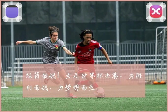 绿茵激战！女足世界杯决赛，为胜利而战，为梦想而生