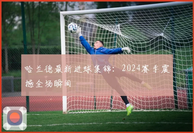哈兰德最新进球集锦：2024赛季震撼全场瞬间