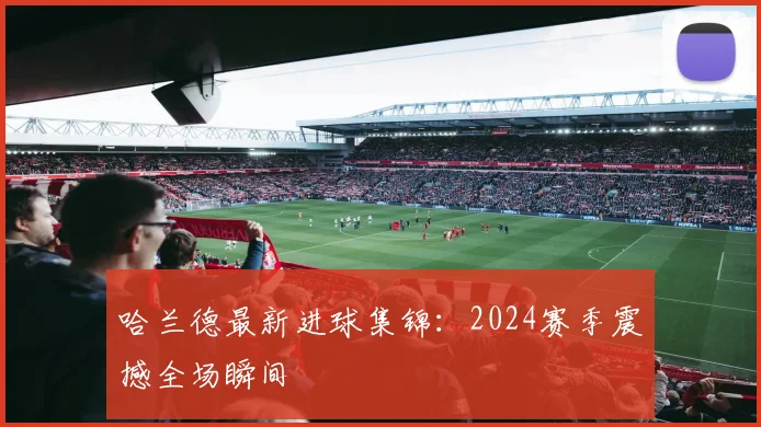哈兰德最新进球集锦：2024赛季震撼全场瞬间